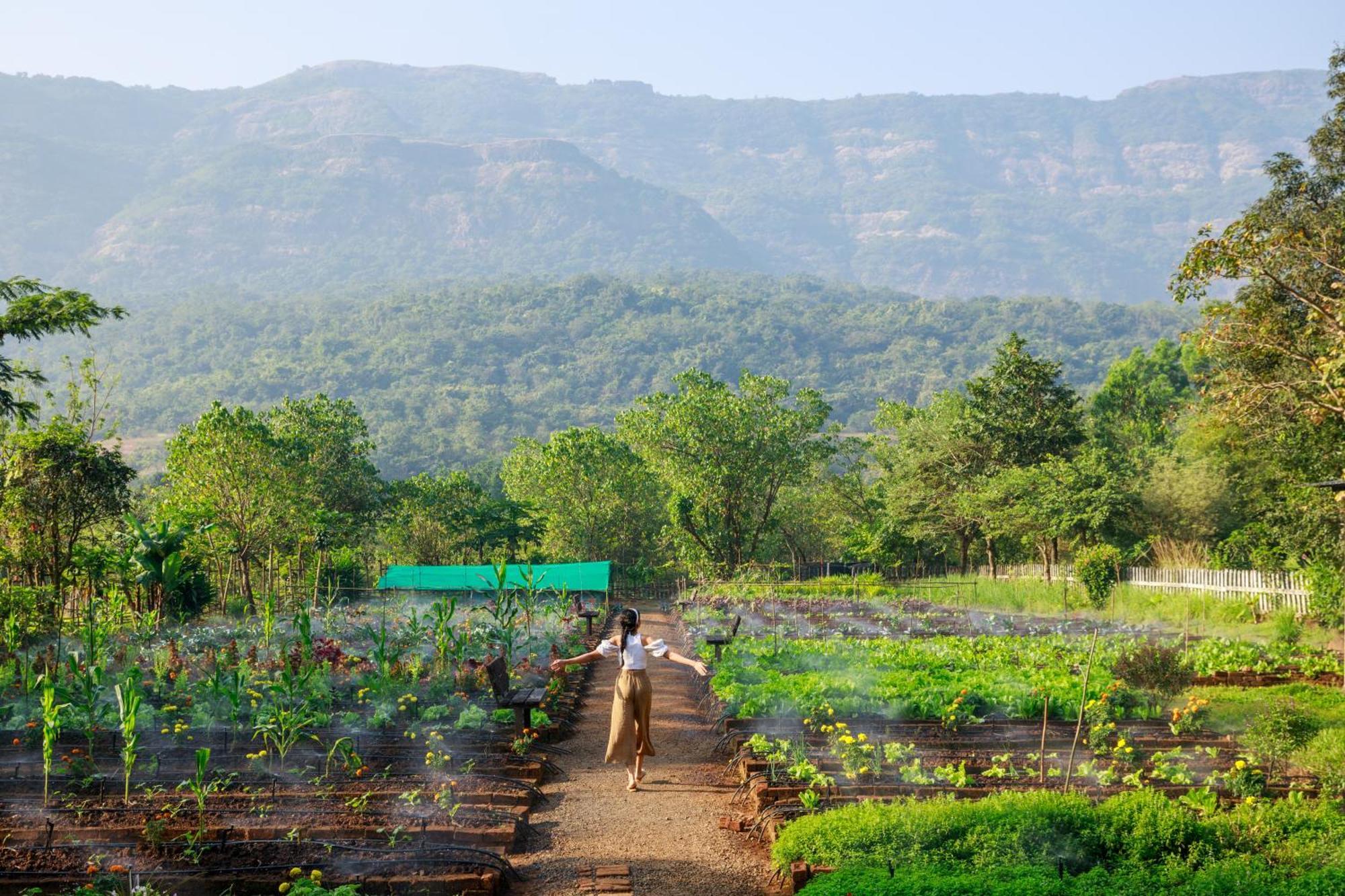 Dharana At Shillim All Inclusive Luxury Wellness Retreat Lonavala Exterior photo